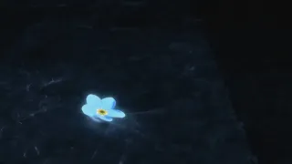 Кадр 4 из Невиданный цветок
